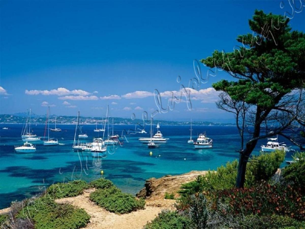 Ferienwohnung Magnifique Parc De La Presqu'Ile Avec Piscine Et Plage Face A Porquerolles ! Hyères Exterior foto