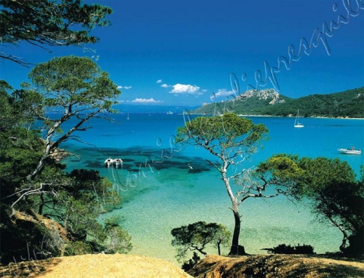 Magnifique Parc De La Presqu'Ile Avec Piscine Et Plage Face A Porquerolles ! Hyères Exterior foto