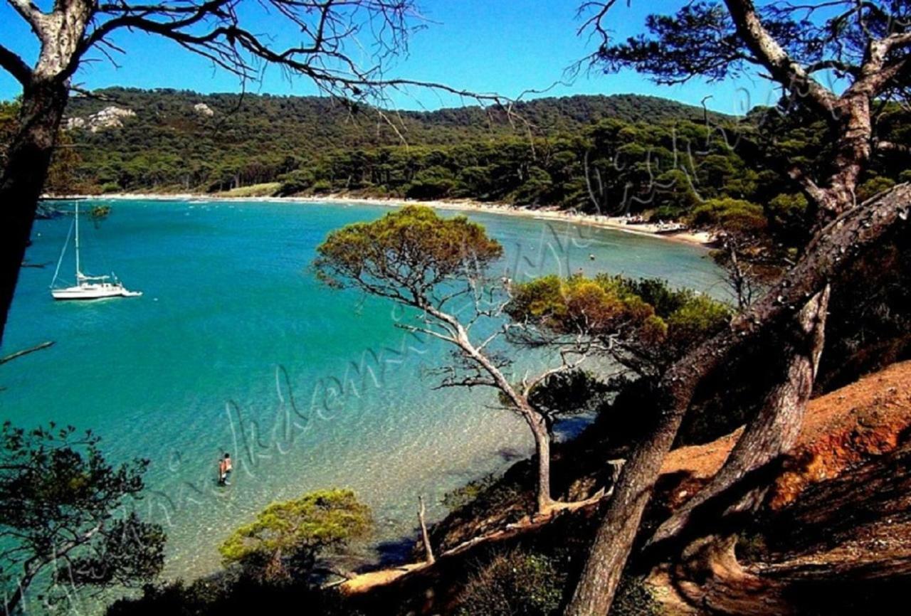 Ferienwohnung Magnifique Parc De La Presqu'Ile Avec Piscine Et Plage Face A Porquerolles ! Hyères Exterior foto