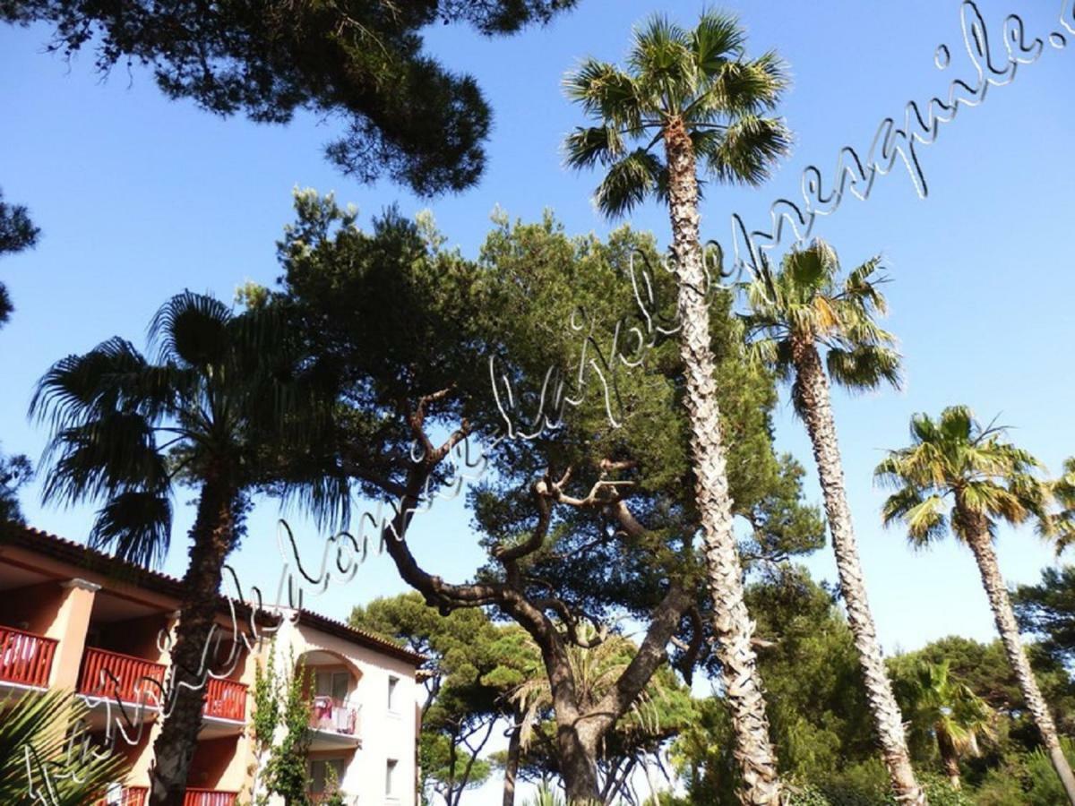 Ferienwohnung Magnifique Parc De La Presqu'Ile Avec Piscine Et Plage Face A Porquerolles ! Hyères Exterior foto