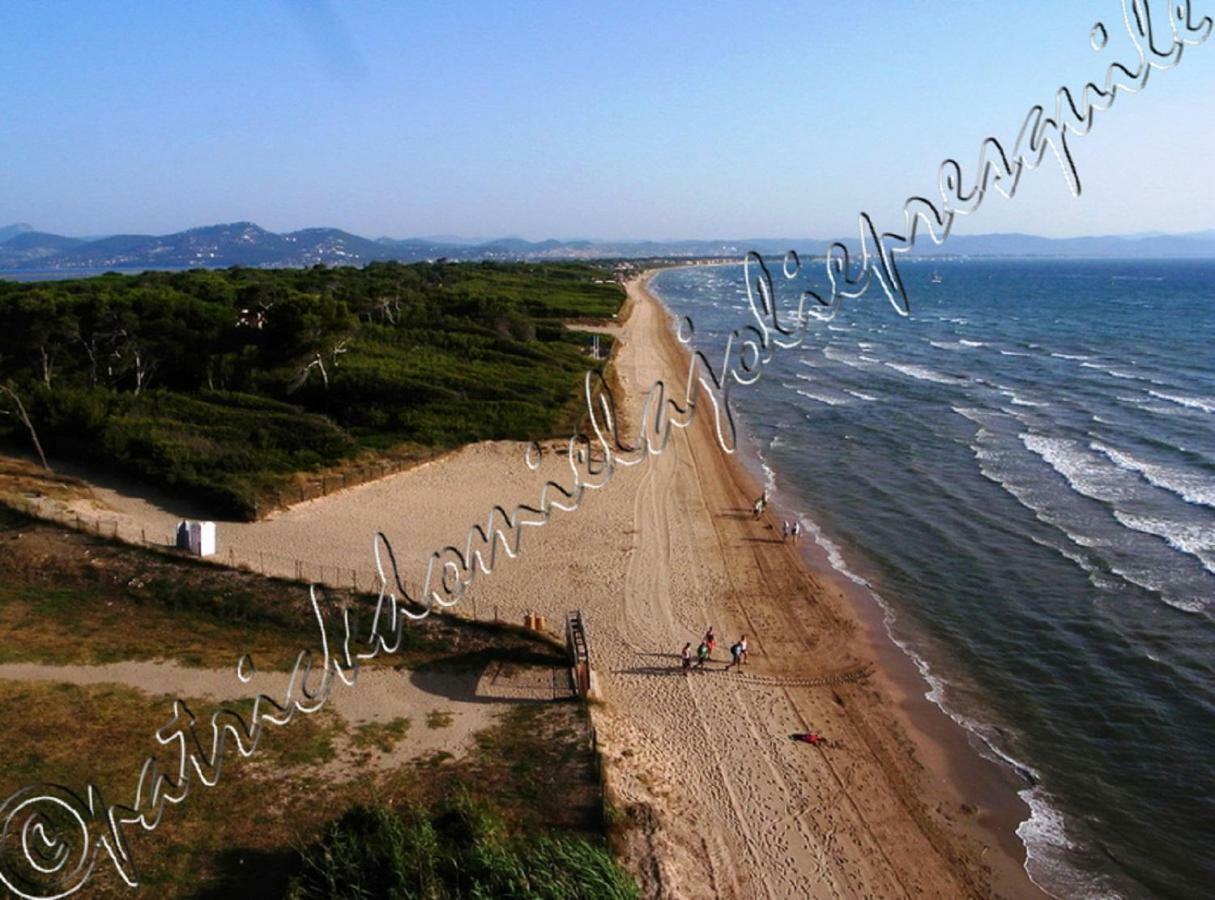 Ferienwohnung Magnifique Parc De La Presqu'Ile Avec Piscine Et Plage Face A Porquerolles ! Hyères Exterior foto